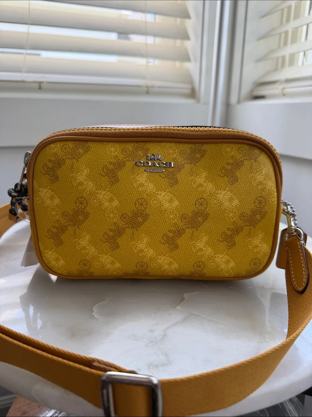 NWT Coach Crossbody Pouch